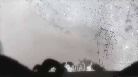 Deleted buffalo scene